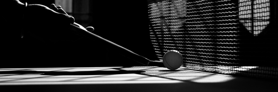 table-tennis-2010329_900x300.png